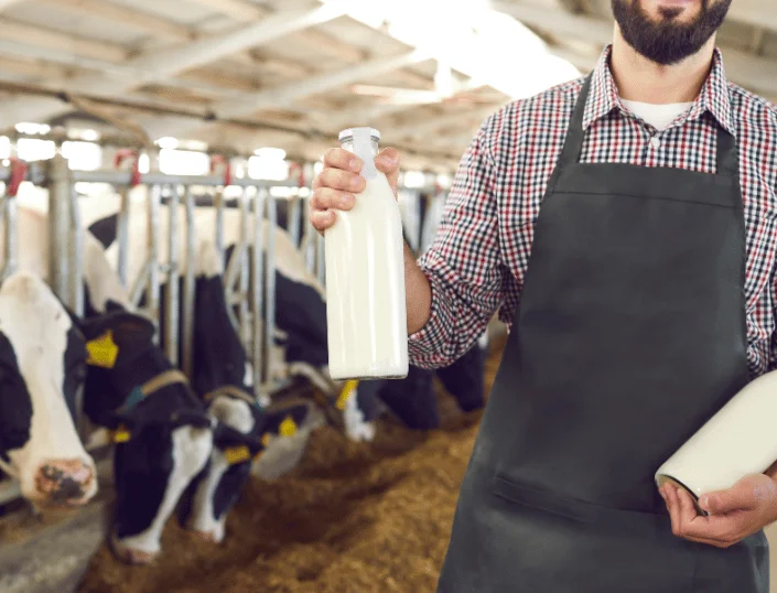 A Class A2 Milk: Revolutionizing Dairy in Dehradun 2