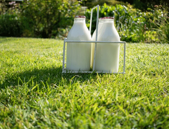 The Complete Guide to Milk Home Delivery in Dehradun 2