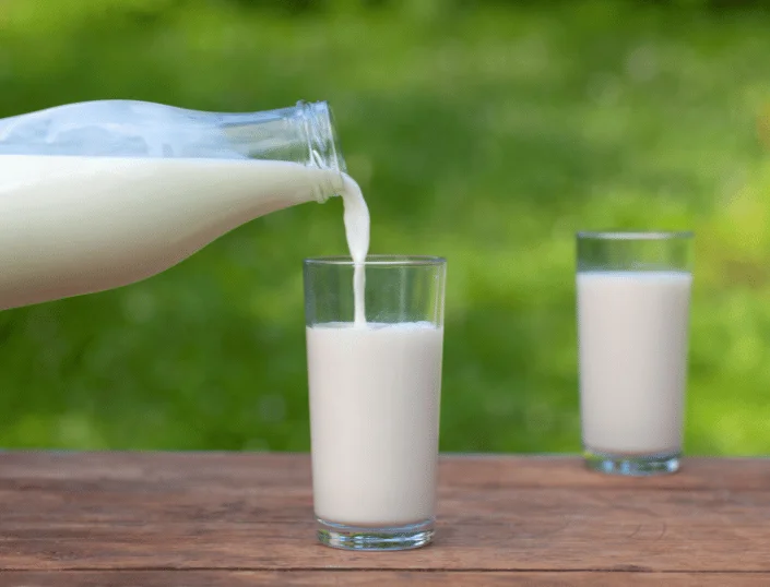 A1 vs A2 Milk in Dehradun: Which Is Better for Your Health? 2