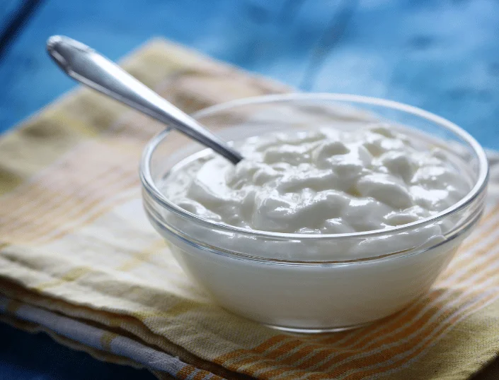 Curd Chronicles: Why Probiotic-Rich Curd from A Class Should Be Your Daily Ritual 2
