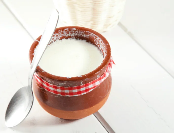 Curd Chronicles: Why Probiotic-Rich Curd from A Class Should Be Your Daily Ritual 3